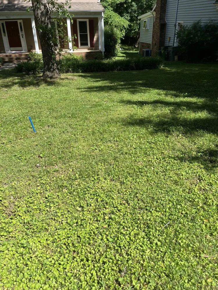 Expert garden landscaping in Indian Trail, NC by Association Dues Mowing