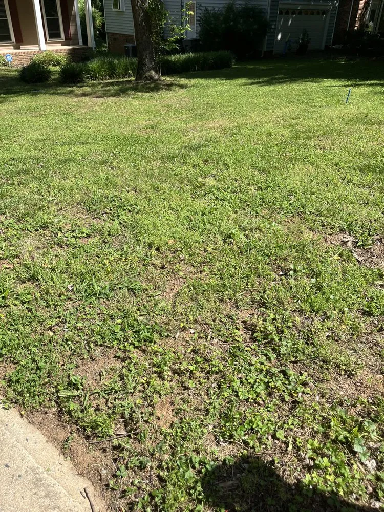 Top-rated landscape design in Indian Trail, NC by Association Dues Mowing