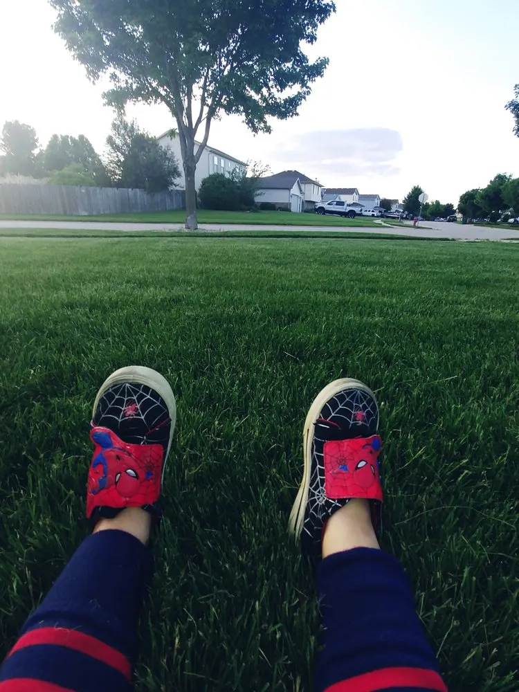 Trusted residential landscaping for beautiful yards across Joliet, IL - Assure Home and Lawn Solutions