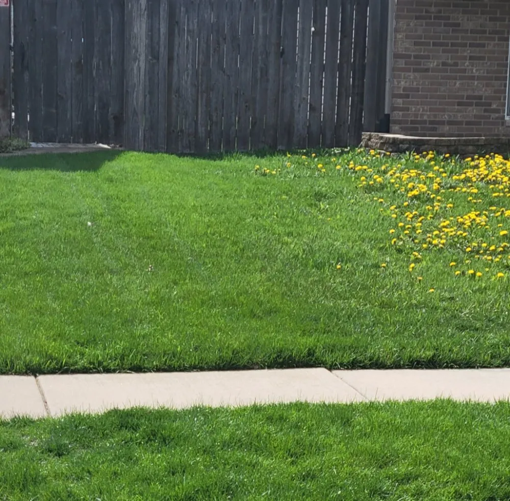 Affordable lawn care service for outdoor upgrades in Joliet, IL by Assure Home and Lawn Solutions