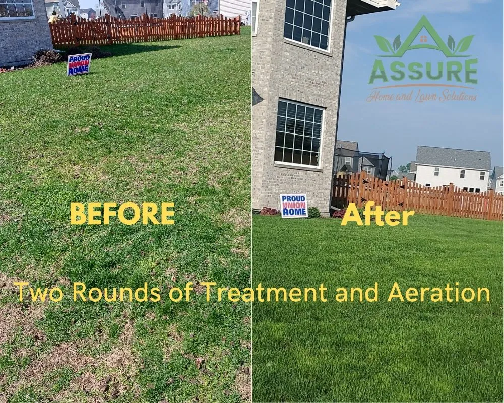Top-rated yard maintenance in Joliet, IL - Assure Home and Lawn Solutions