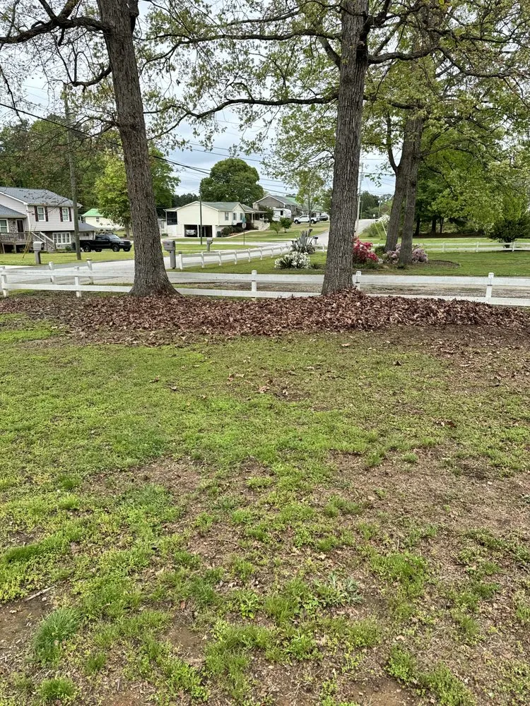 Top-rated landscaping services for residential properties in Griffin, GA by Assure Lawn Care & Landscaping