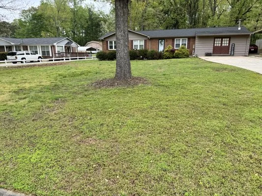 Assure Lawn Care & Landscaping Logo