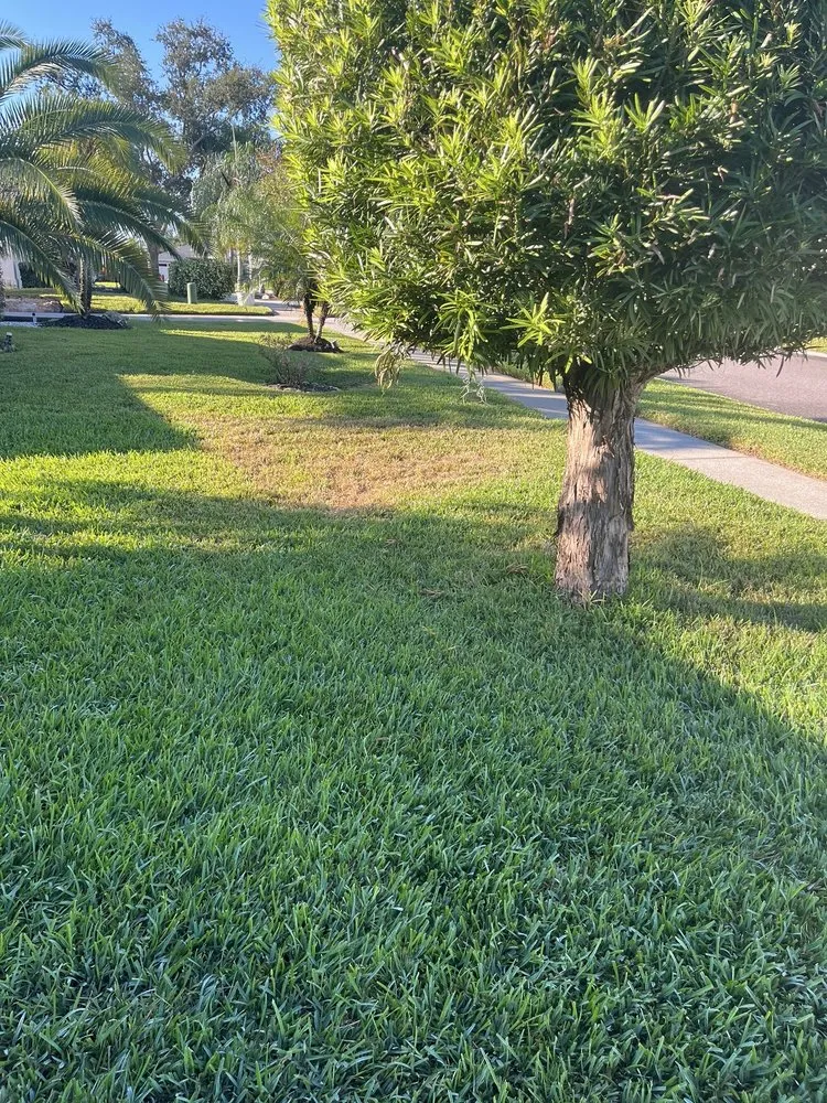 Trusted lawn care service in Oldsmar, FL - AssureGreen Property Services