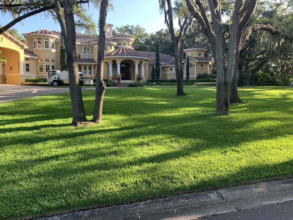 Affordable yard cleanup service in Oldsmar, FL - AssureGreen Property Services