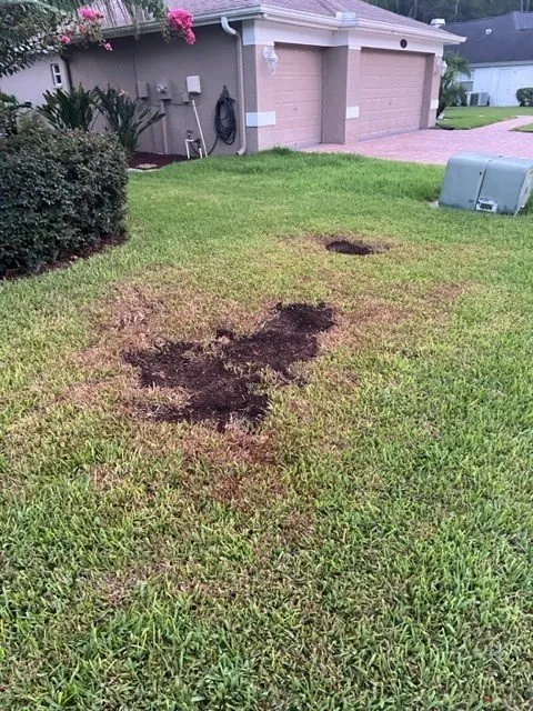 Trusted landscaping services experts serving Oldsmar, FL - AssureGreen Property Services