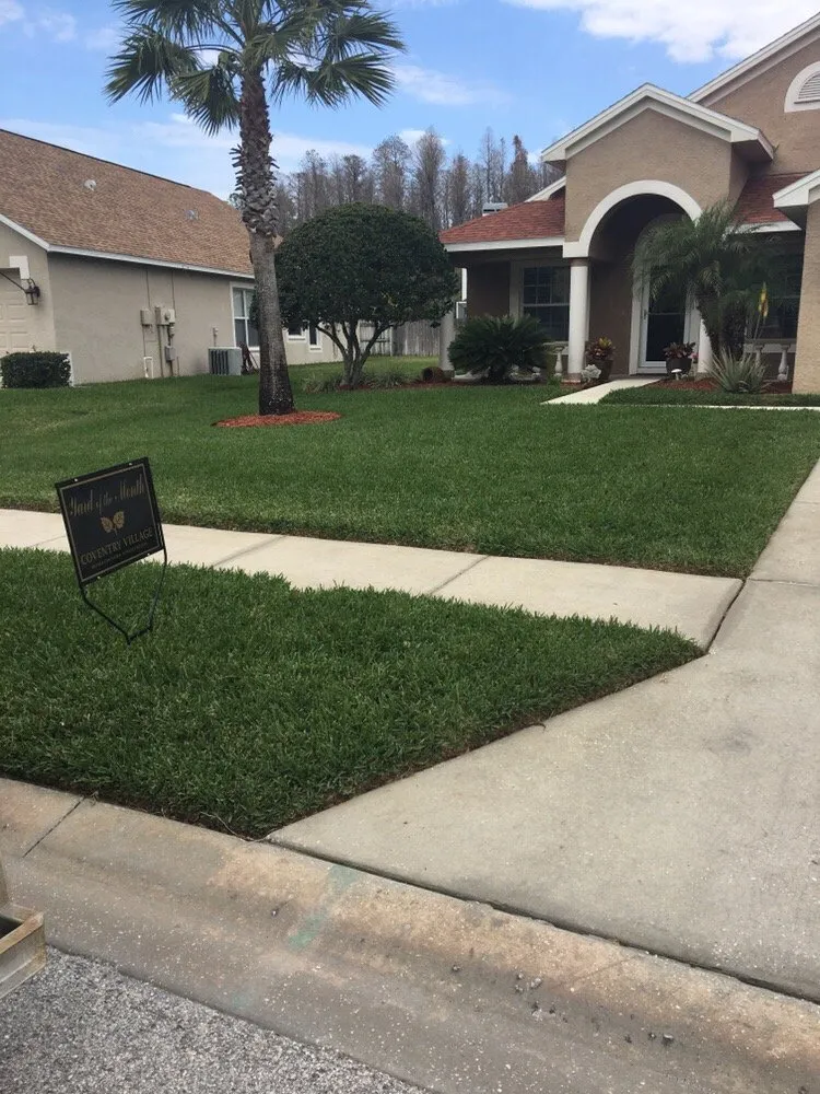 Custom yard cleanup service experts serving Oldsmar, FL - AssureGreen Property Services