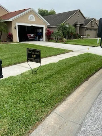 Reliable lawn care service in Oldsmar, FL by AssureGreen Property Services
