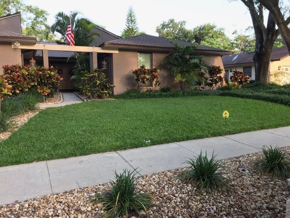 Expert yard cleanup service experts serving Oldsmar, FL - AssureGreen Property Services