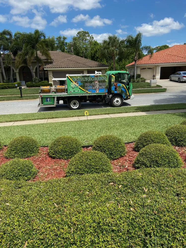Expert lawn mowing service for homes in Oldsmar, FL by AssureGreen Property Services
