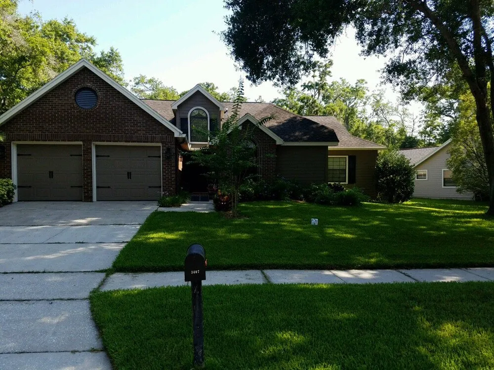 Top-rated yard cleanup service in Oldsmar, FL - AssureGreen Property Services