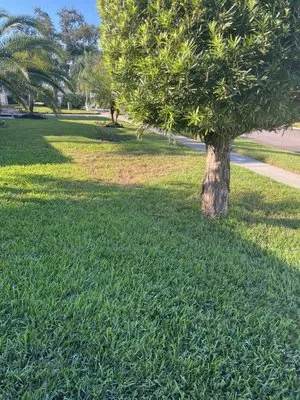 AssureGreen Property Services