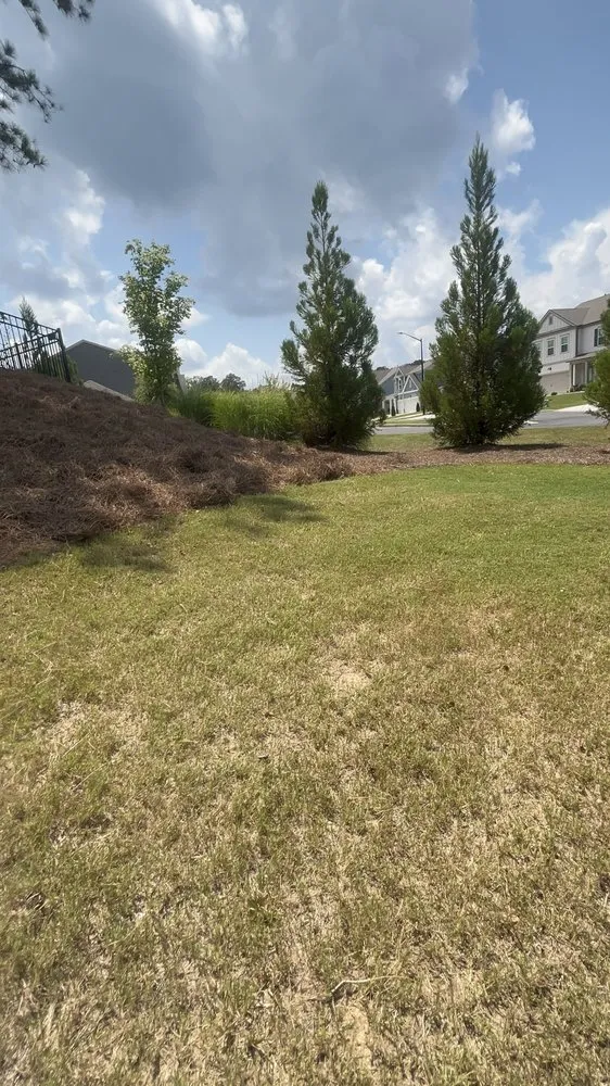 Trusted landscaping services in Acworth, GA by Astla Outdoor Services