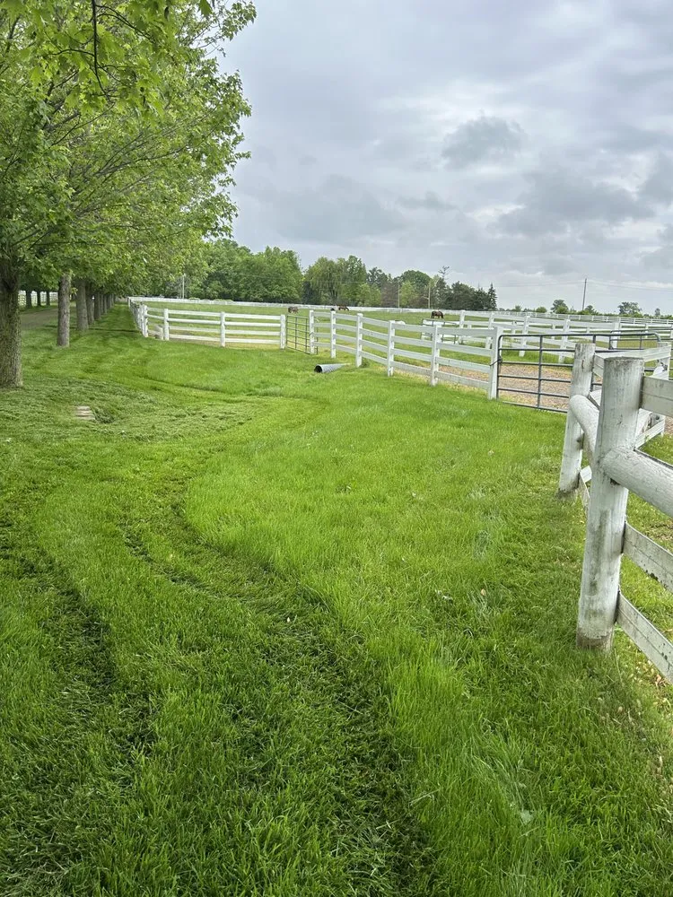 Reliable yard cleanup service for residential properties in Acworth, GA by Astla Outdoor Services