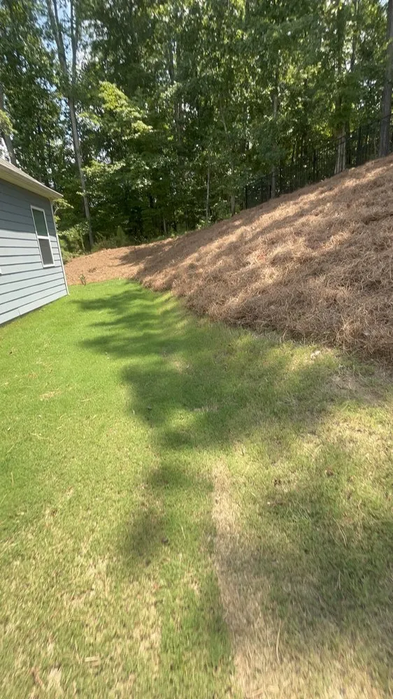 Top-rated landscape design for beautiful yards in Acworth, GA by Astla Outdoor Services