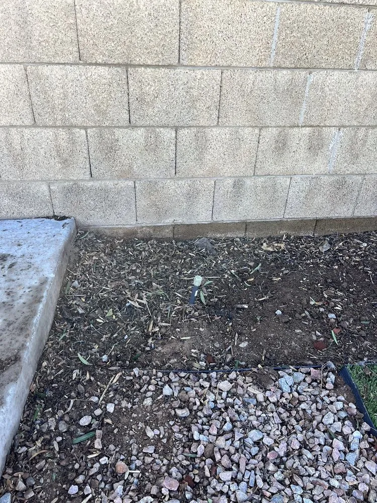 Custom outdoor landscaping for year-round maintenance in Peoria, AZ by Astonishing Landscape & Design