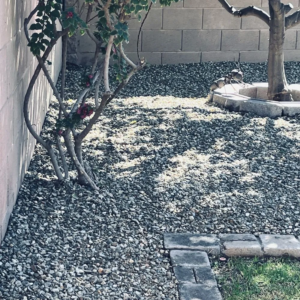 Professional lawn care service for homes in Peoria, AZ by Astonishing Landscape & Design