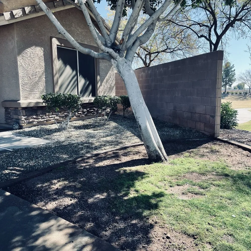 Top-rated garden landscaping in Peoria, AZ by Astonishing Landscape & Design