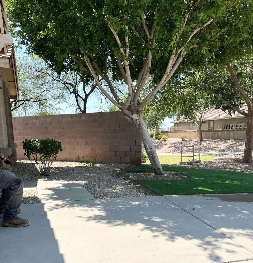 Top-rated residential landscaping in Peoria, AZ - Astonishing Landscape & Design