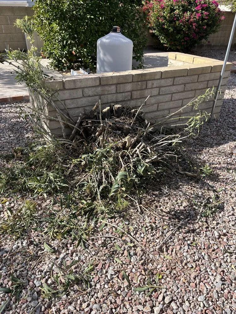 Local lawn care service for outdoor upgrades across Peoria, AZ - Astonishing Landscape & Design