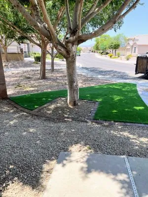 Astonishing Landscape & Design