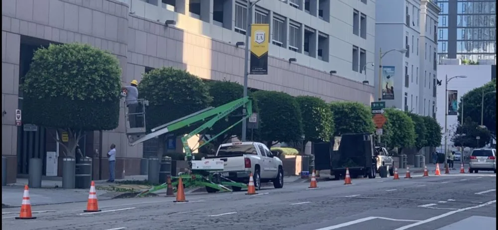 Expert lawn care service near you across Canoga Park, CA - Astorga Landscaping & Tree Care