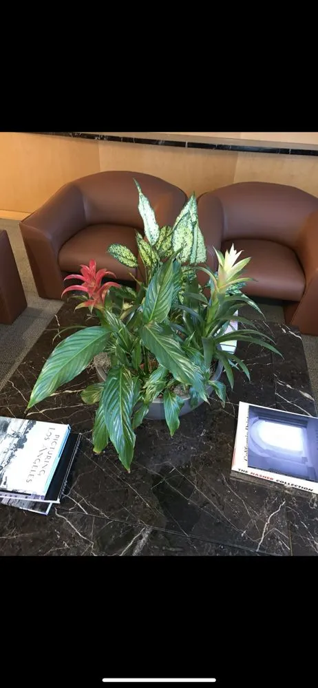 Local outdoor landscaping experts serving Canoga Park, CA - Astorga Landscaping & Tree Care