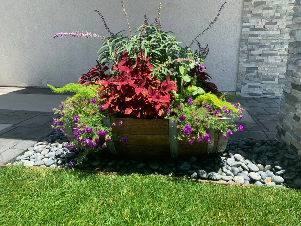 Expert landscape installation with custom design across Canoga Park, CA - Astorga Landscaping & Tree Care