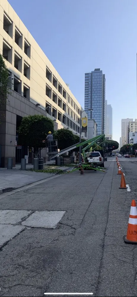 Expert yard maintenance in Canoga Park, CA by Astorga Landscaping & Tree Care