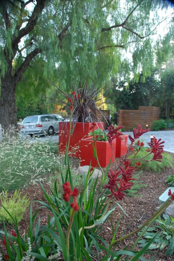 Local landscape design for residential properties in Mountain View, CA by Astrid Gaiser Garden Design