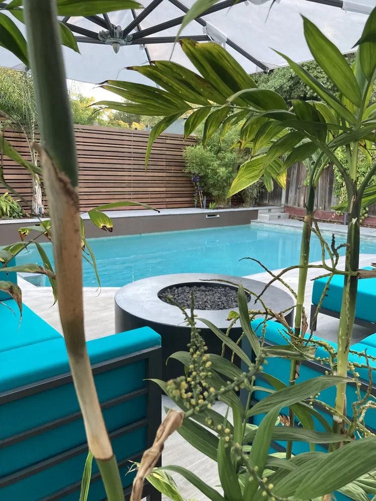 Top-rated landscaping services with custom design across Mountain View, CA - Astrid Gaiser Garden Design