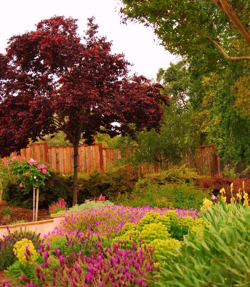Custom residential landscaping in Mountain View, CA - Astrid Gaiser Garden Design