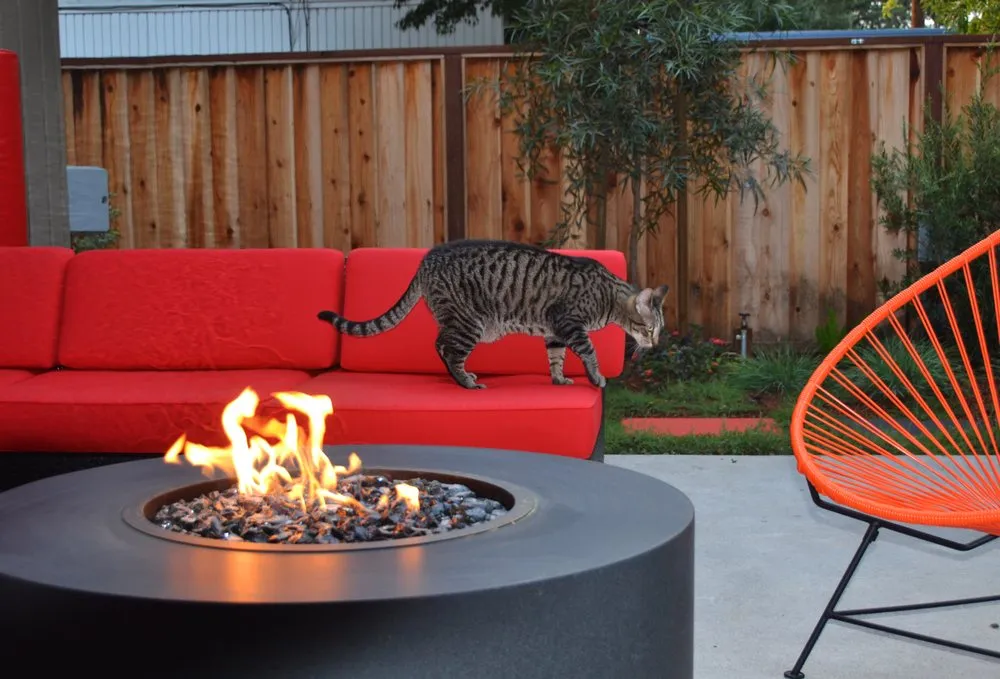 Professional yard maintenance in Mountain View, CA - Astrid Gaiser Garden Design