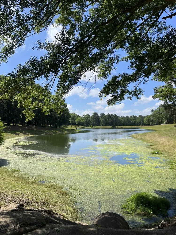Professional residential landscaping in Semmes, AL - Astro Care