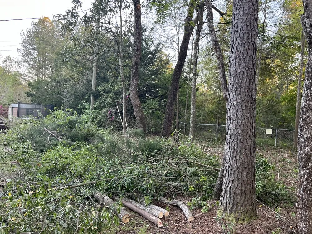 Trusted yard cleanup service in Semmes, AL by Astro Care