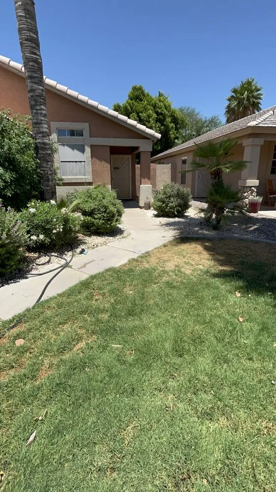 Reliable yard cleanup service with custom design across Chandler, AZ - Astro Landscaping