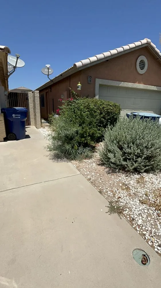 Local lawn care service in Chandler, AZ by Astro Landscaping