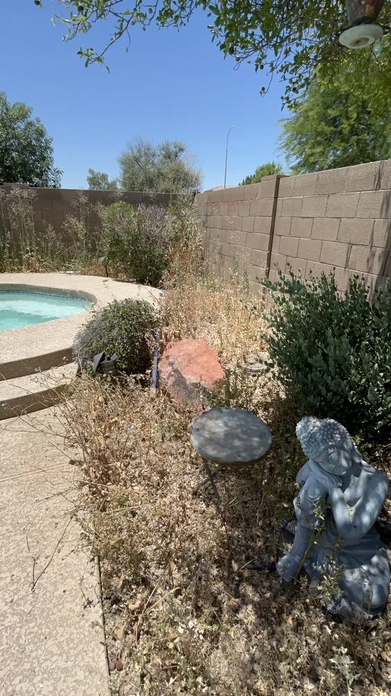 Local outdoor landscaping for outdoor upgrades in Chandler, AZ by Astro Landscaping