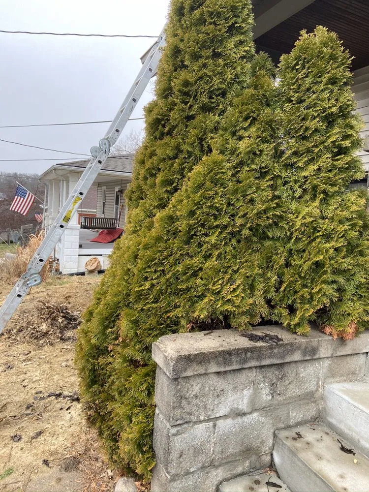 Professional yard cleanup service experts serving Bennet, NE - Astro Lawn And Home