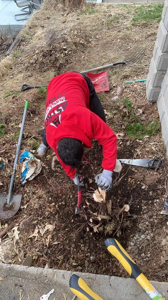 Reliable residential landscaping in Bennet, NE - Astro Lawn And Home