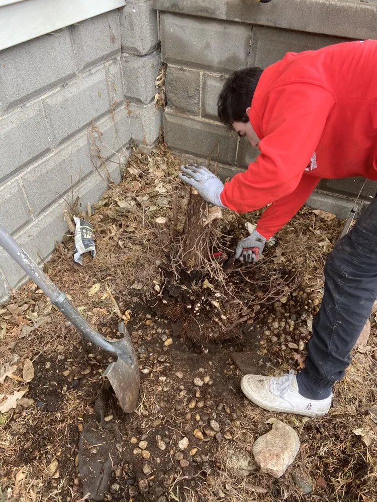 Expert yard cleanup service experts serving Bennet, NE - Astro Lawn And Home