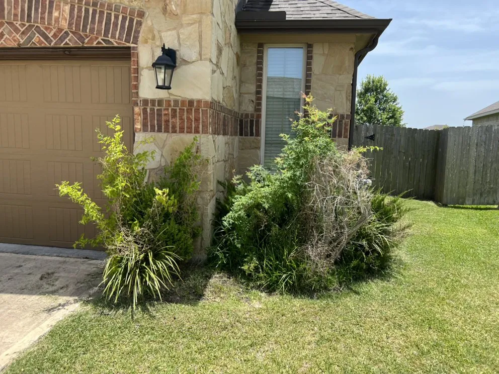 Affordable landscaping services in Houston, TX - Astro lawn scape services