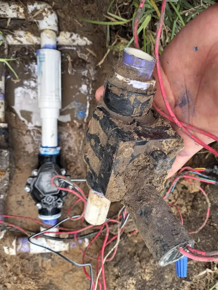 Reliable landscaping services experts serving Houston, TX - Astro lawn scape services