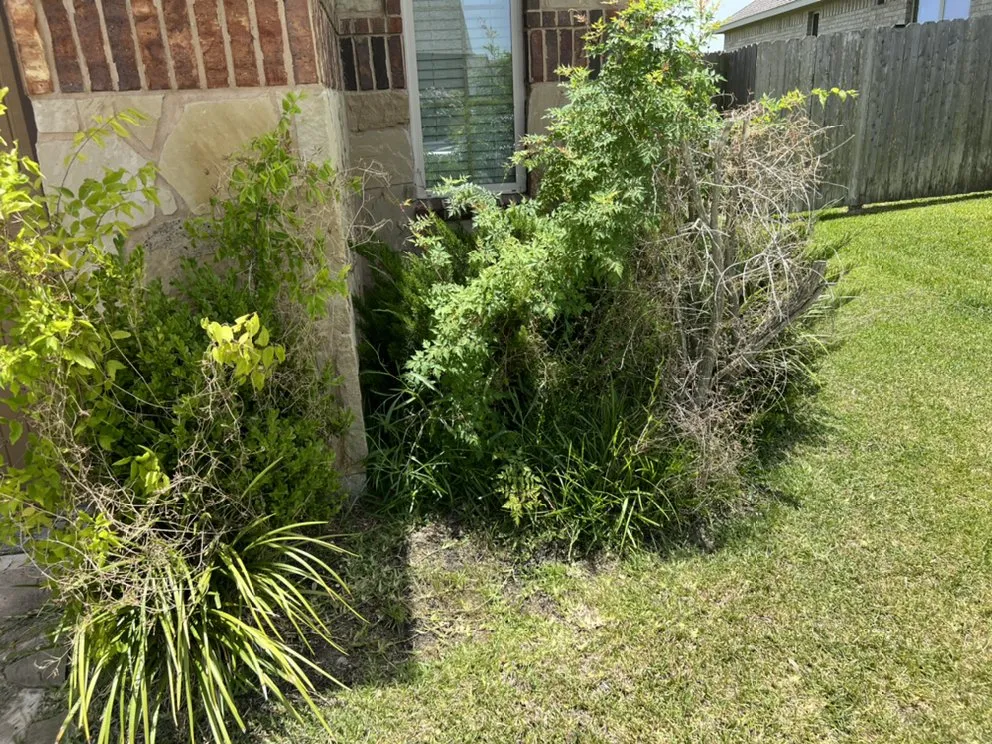 Expert outdoor landscaping experts serving Houston, TX - Astro lawn scape services