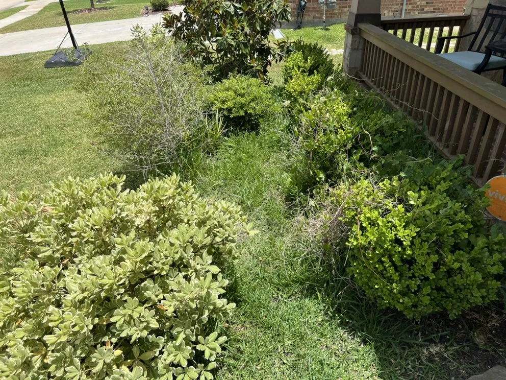 Trusted landscaping services for homes in Houston, TX by Astro lawn scape services