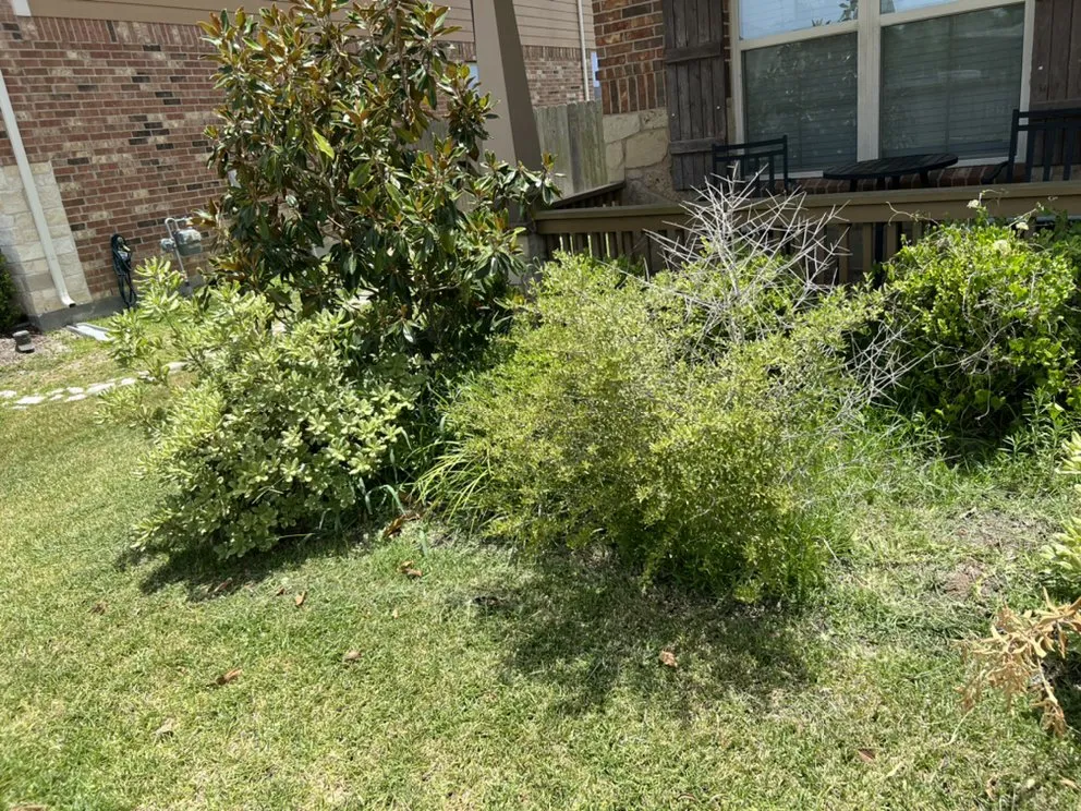 Local lawn care service in Houston, TX by Astro lawn scape services