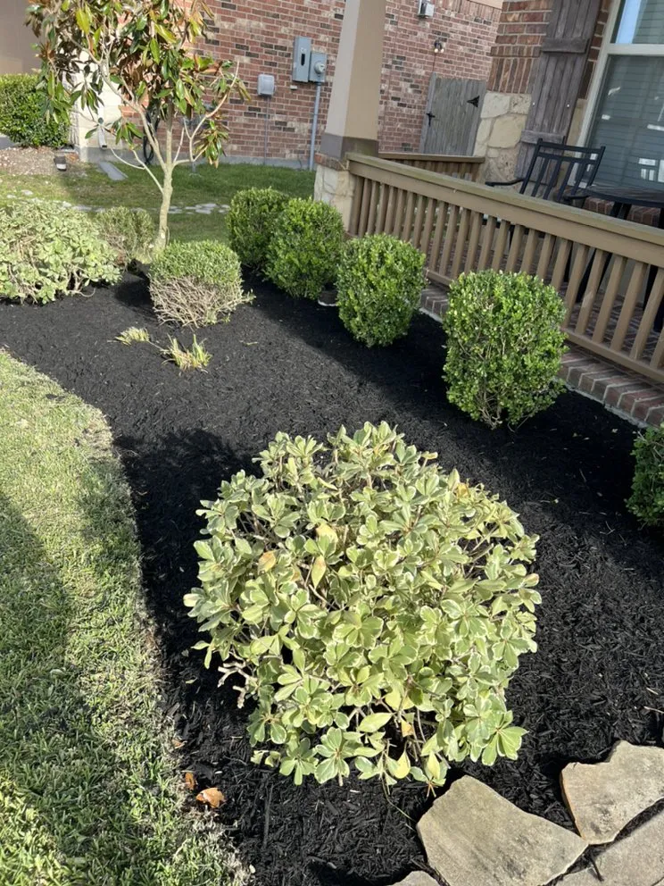 Top-rated lawn mowing service near you across Houston, TX - Astro lawn scape services