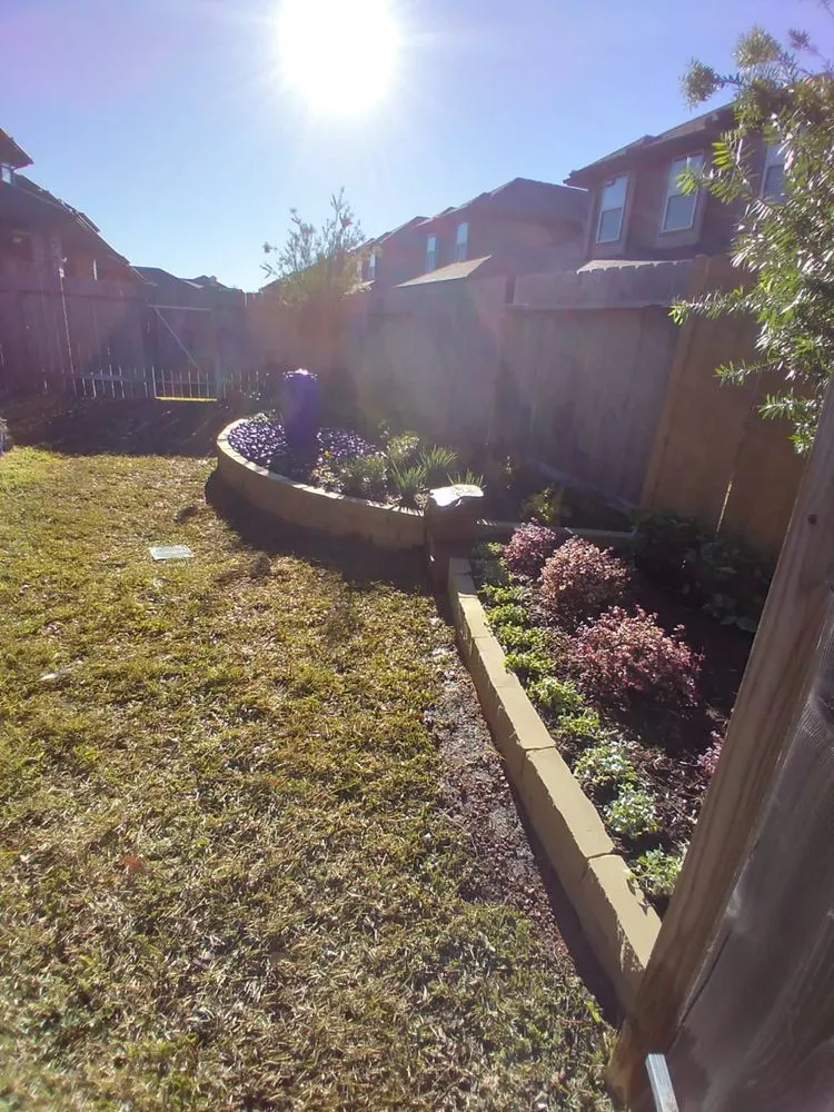 Top-rated residential landscaping for year-round maintenance across Houston, TX - Astro lawn scape services