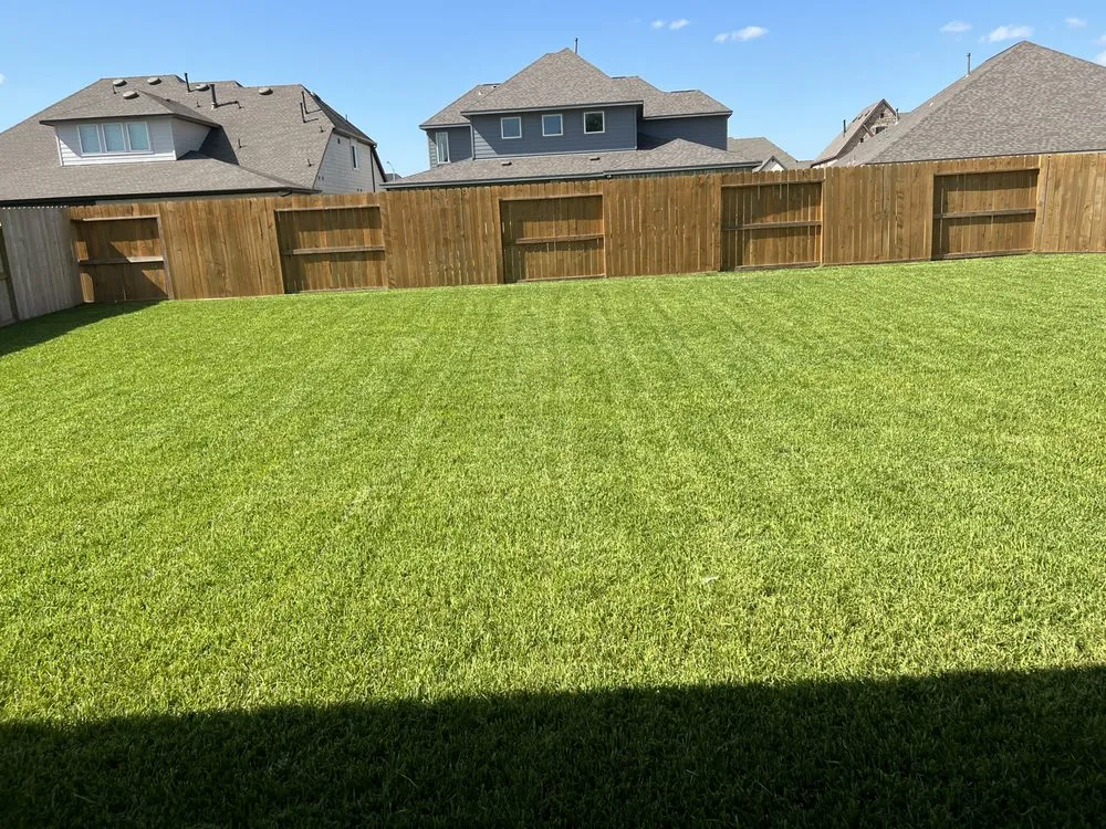 Expert yard maintenance in Houston, TX - Astro lawn scape services