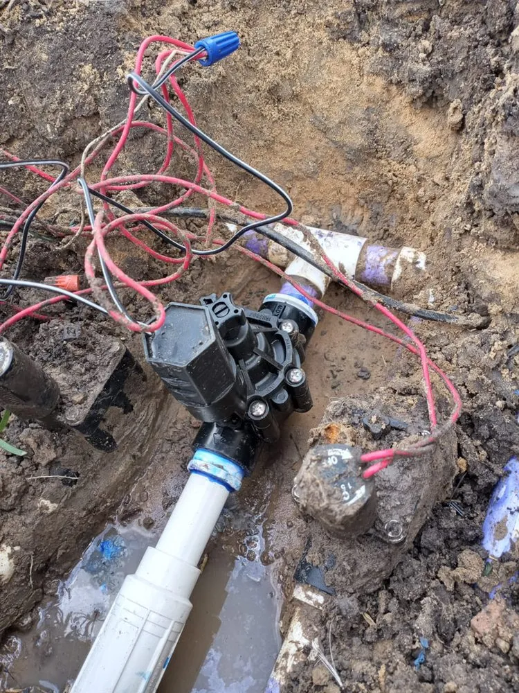 Professional landscaping services for year-round maintenance in Houston, TX by Astro lawn scape services